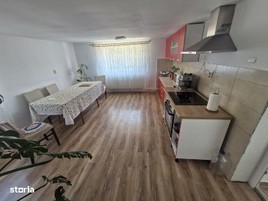 Casa de vanzare la tara