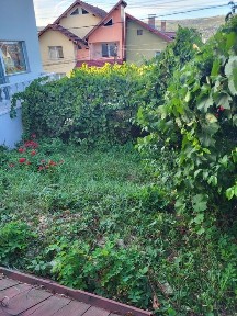 Casa de vanzare Gruia!