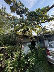 Casa batraneasca de vanzare