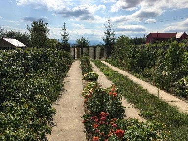 Vand casa+teren 6.000mp