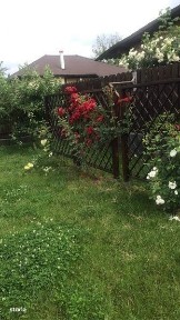 Casa de vanzare in Sancraiu de Mures.str Vale