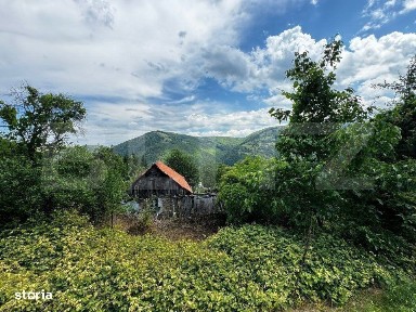 Casa la munte cu teren generos de 9340mp in zona Capalna - Valea Sebes