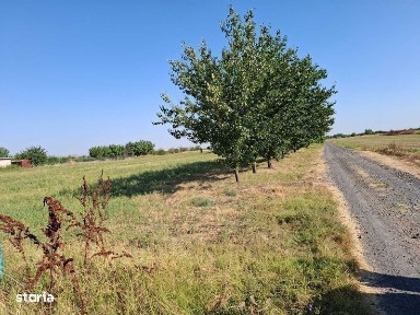 Ferma plus teren aferent 16.000mp