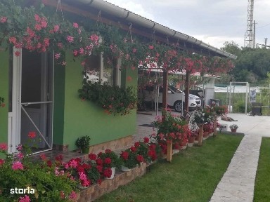 Casa de vanzare + cultura de afini.