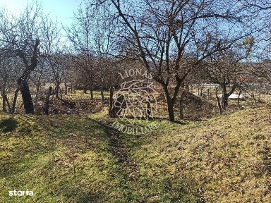 Casa 4 camere-teren 2410 mp-grajd-sura-fanar-magazie-Prundu Bargaului