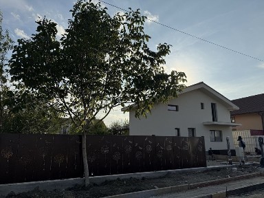 Vand casa Dumbravita strada Tehnicii