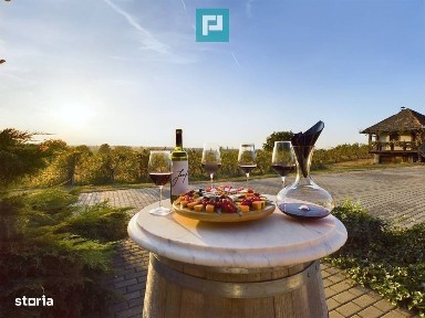 Minis, Ghioroc, Arad