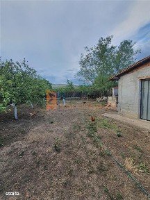 Saranga, Pietroasele, Buzau