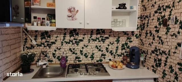 Garsonieea zona port