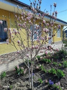 Casa de vanzare, fara schimb!