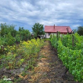 Casa + gradina Saranga