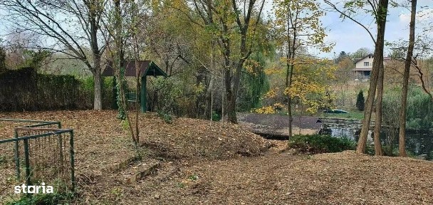 Strada Coada Lacului, Snagov, Ilfov