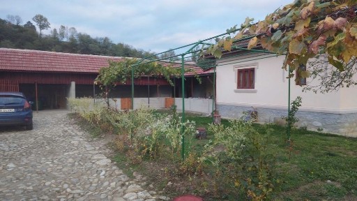 Vind 6800m² teren intravilan +casa caramida,locuibila Polovragi/Gorj.