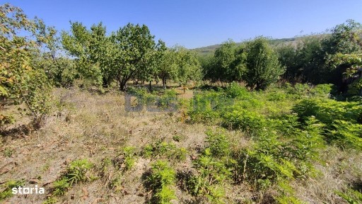 Harpasesti, Popesti, Iasi