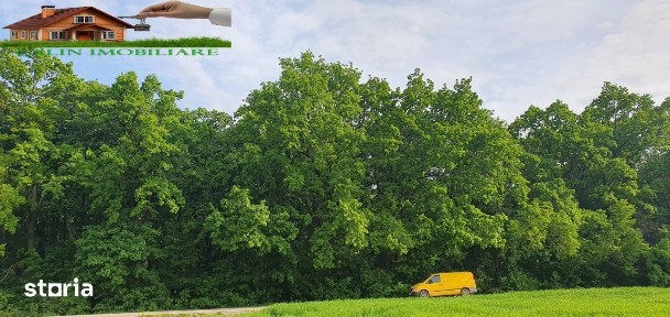 Casa Duplex Cartier LA PADURE Valea Ursului-Uricani 120mp 178.500 EURO