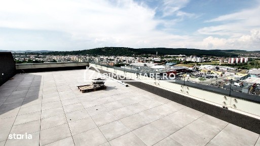 Targu Mures, Mures