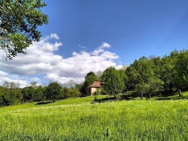 Oportunitate!Mada:casa teren intravilan,10.000mp toate actele i regula