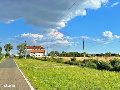 Strada 503, Pecica, Arad