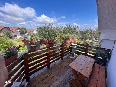 Sangeorgiu De Mures, Mures