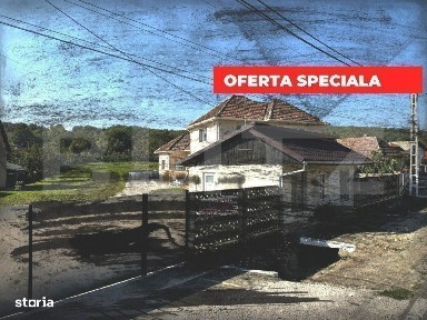 Casa cu 5 camere si spatiu comercial, teren 4079mp, zona Stremt - Teiu