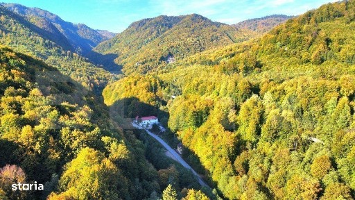 Oportunitate ! Cabana 360 mp, teren 840 mp, Moroeni