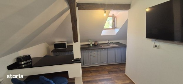 apartament regim hotelier