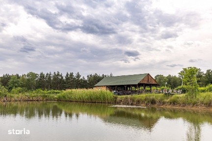 Cotmeana, Arges
