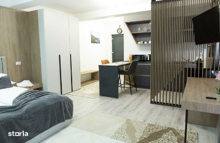 Cazare Studio Living Bucsoaia