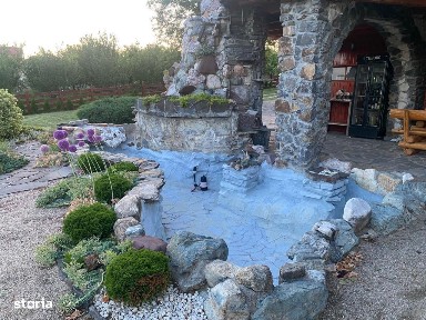 Viile Satu Mare, Satu Mare