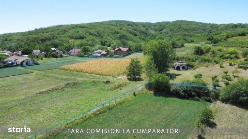 Orlesti, Valcea