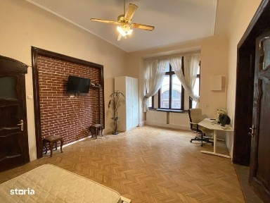 Studio splendid ultracentral piata Pache