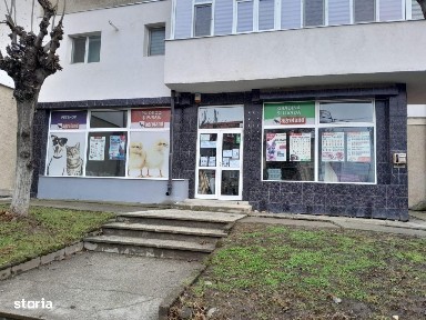 Strada Tudor Vladimirescu, Moinesti, Bacau