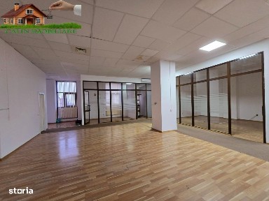 Zona Industriala, Iasi