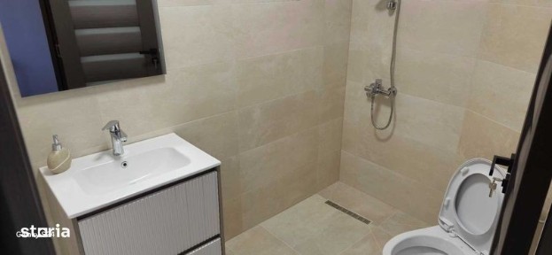 Subcentral, Satu Mare