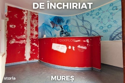 Tudor Vladimirescu, Targu Mures, Mures