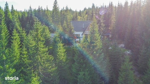 Muntele Baisorii, Baisoara, Cluj