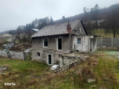Casa de vazare in Anina