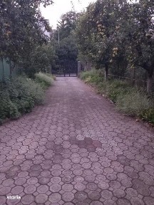 Dambu Pietros - Vanzare casa - Str. Calea Sighisoarei
