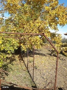 Casa de vanzare 15 km de oras