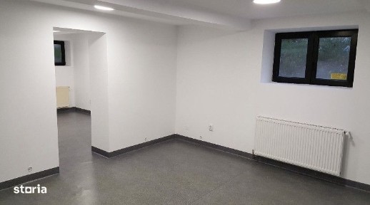 Andrei Muresanu, Cluj-Napoca, Cluj