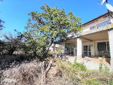 Vanzare vila P+1, Loc. Sinesti, teren: 4.065 mp, langa lac, comision 0
