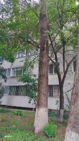 Dorobantilor, Braila