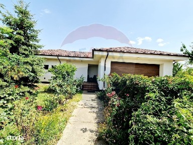 Strada Fagului, Malu Mare, Dolj