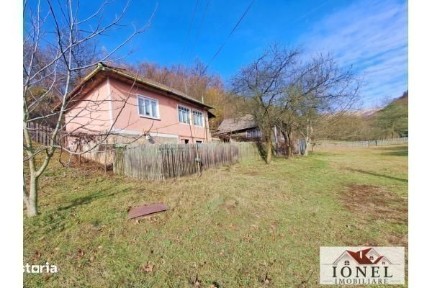 Casa cu 20000 mp de teren de vanzare in Zlatna