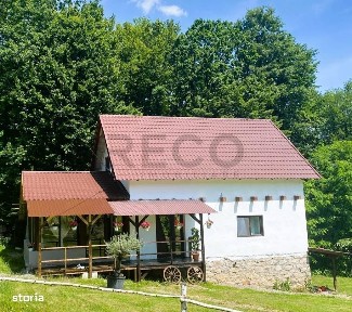 Girisu De Cris, Bihor