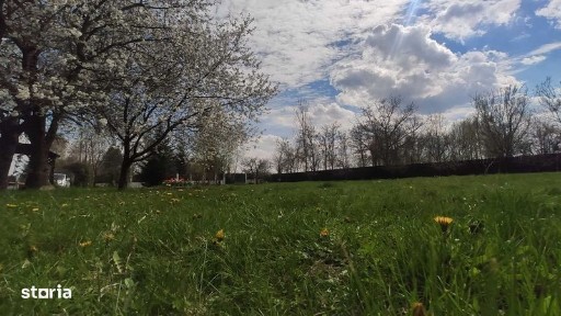 Balta Neagra, Nuci, Ilfov