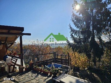 Baia Sprie, Maramures