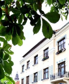 Orasul Nou, Oradea, Bihor