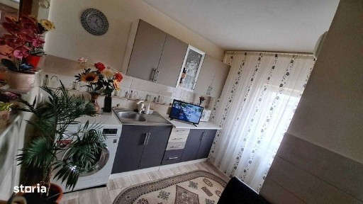 Drobeta-Turnu Severin, Mehedinti