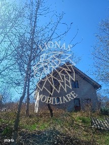 Bistrita, Bistrita-Nasaud